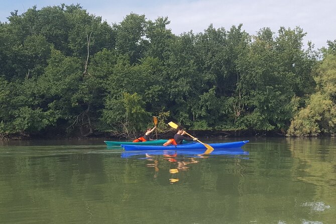 Private Kayak Tour in the Venetian Lagoon - Why this Venetian Lagoon kayak beats a classic Venice day