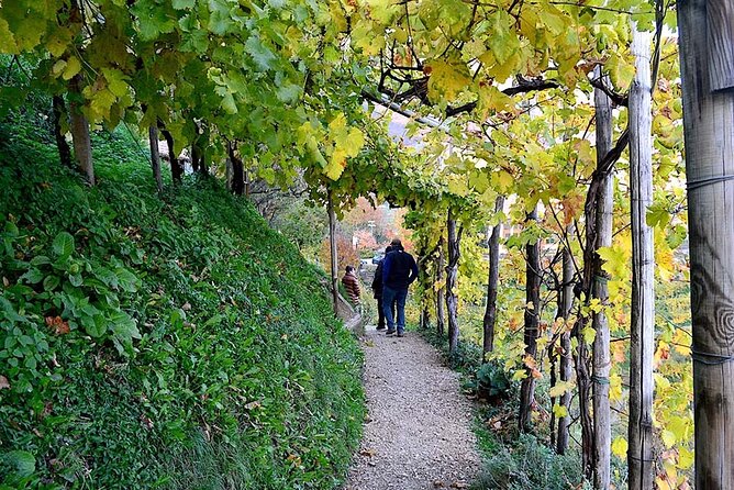 Private Tour: Prosecco Wine Tasting Day Trip with Lunch from Venice - Meeting at Piazzale Roma and settling into the minivan