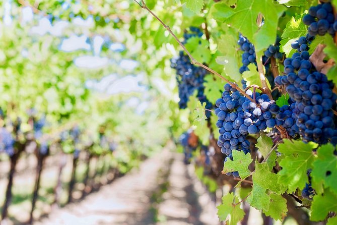 Private Valpolicella Day Trip from Venice: Wine Tasting and Verona - San Giorgio and the 8th-Century Stone Altar: The Most Unexpected Stop