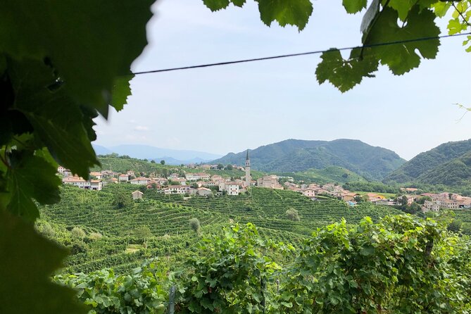 Prosecco Hills Wine and Cheese Gourmet Discovery - The 8 Tastings: How to Get More Than Just a Nice Drink