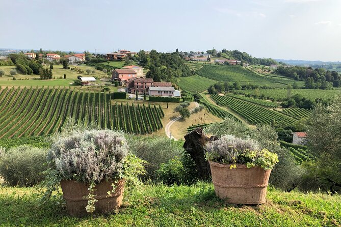 Prosecco Hills Wine and Cheese Gourmet Discovery - Who This Tour Suits Best (and Who Might Prefer Something Else)