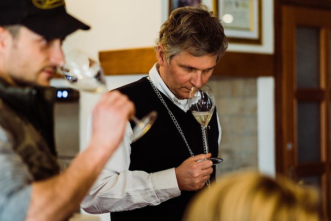 Prosecco Wine Tour (all-inclusive full day with lunch and expert wine guide) - Why Prosecco Country Beats Another Venice Crowds Day