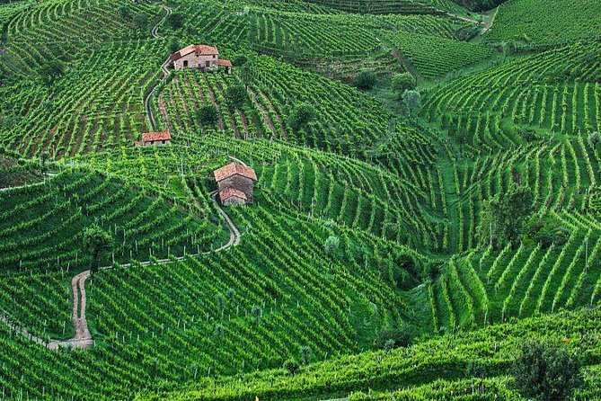 Prosecco Wine Tour. Full day from Venice - Winery stop #2: learn more, compare styles, and adjust expectations