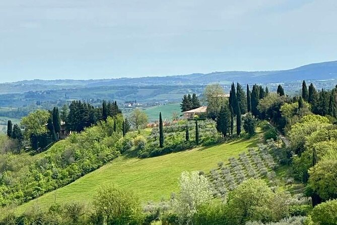 Prosecco Wine Tour. Full day from Venice - Veneto lunch and snacks: the underrated part of a Prosecco day
