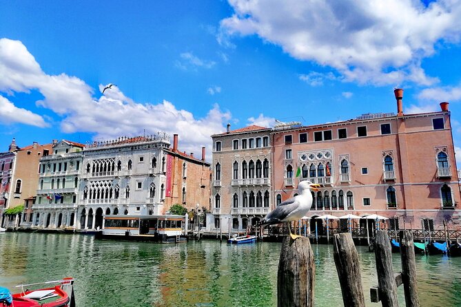 Rialto Market & Seafood Cooking Class in Murano - Practical tips: how to enjoy the market and not feel rushed