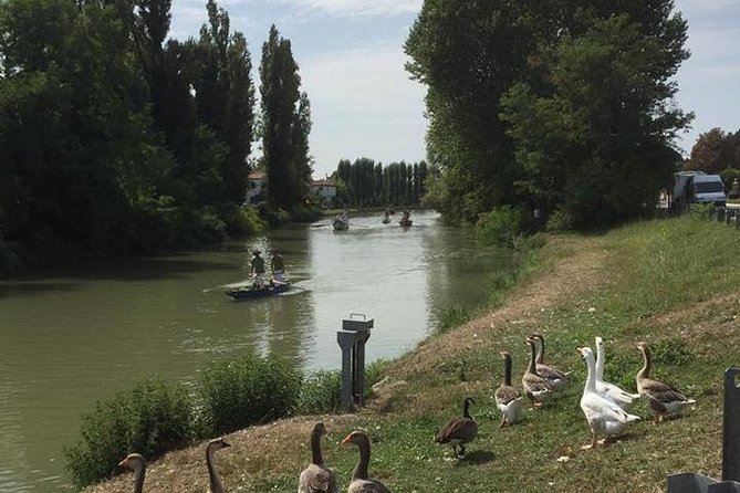 Riviera del Brenta Bike Tour - Who This Tour Fits Best (and Who Might Want Another Option)