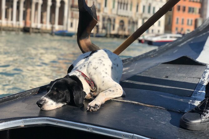 The Secrets of Venice - Private Tour - Basilica di San Marco, Doge’s Palace, and Ponte dei Sospiri