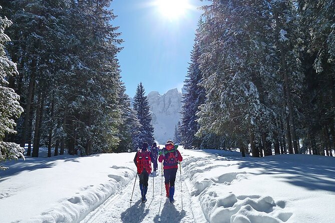 UNESCO Dolomites great expedition from Venice by Yellowboot - The smartest way to reach the UNESCO Dolomites from Venice