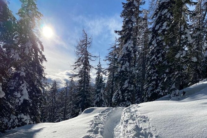 UNESCO Dolomites great expedition from Venice by Yellowboot - Price and value: why $290.23 can make sense
