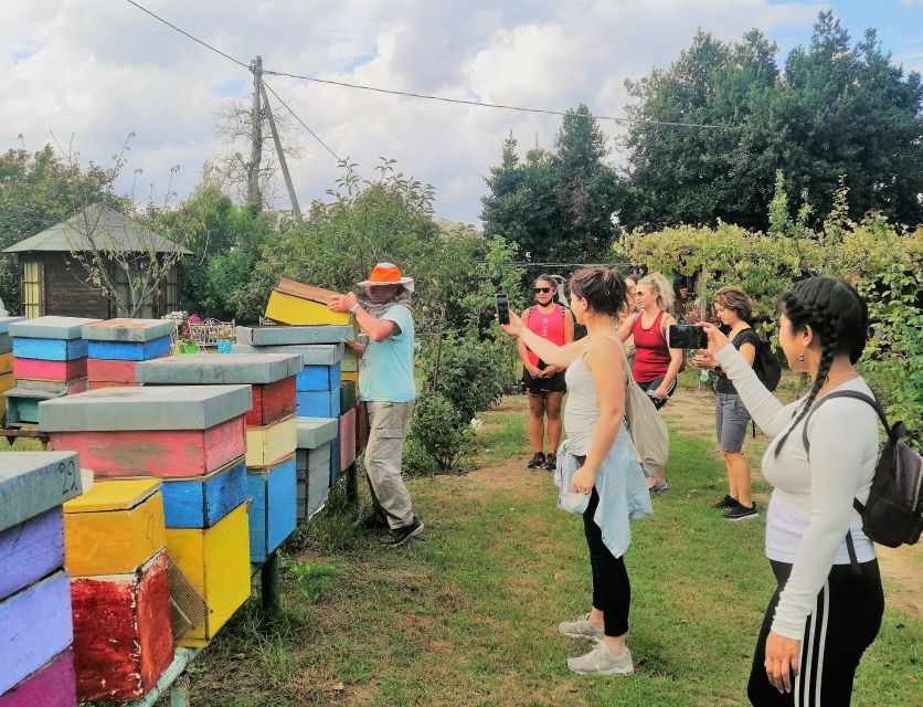 Venice: Bike Tour Honey & artichockes on Sant’Erasmo Island - Key highlights you’ll remember
