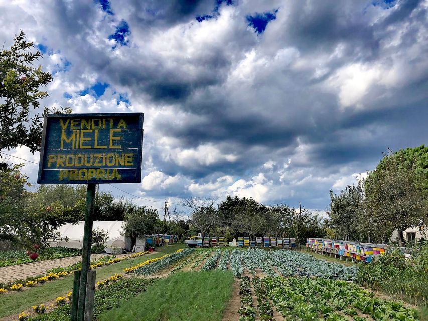 Venice: Bike Tour Honey & artichockes on Sant’Erasmo Island - First stop: Fondamente Nove and a lagoon crossing that sets the tone