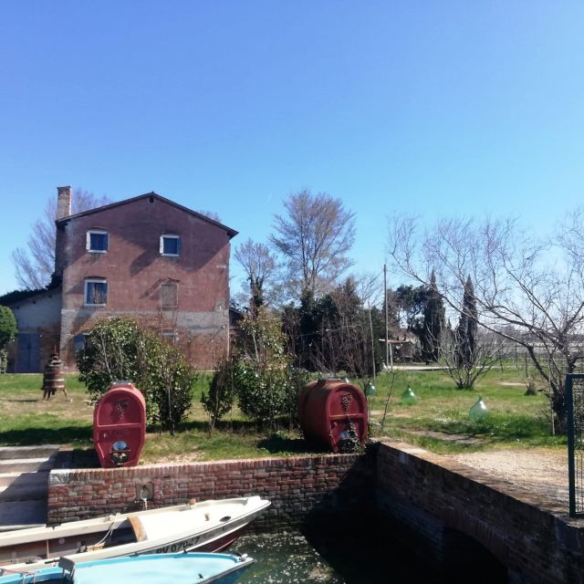 Venice: Bike Tour Honey & artichockes on Sant’Erasmo Island - Riding the lagoon edge: saltmarsh, crops, and real working rhythms