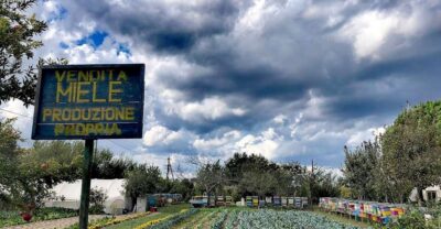 Venice: Bike Tour Honey & artichockes on Sant’Erasmo Island - The 19th-century fort start: where the island’s past meets your bike