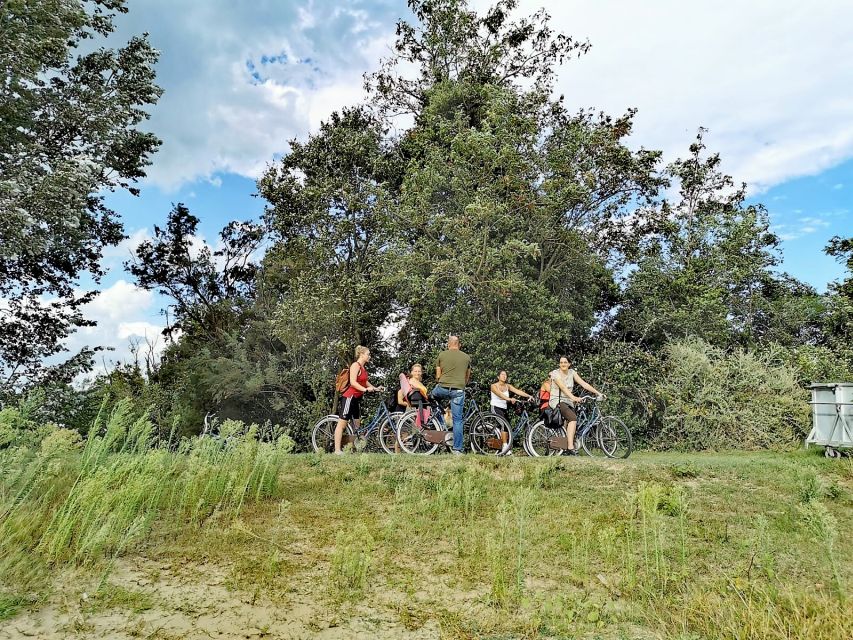 Venice: Bike Tour Honey & artichockes on Sant’Erasmo Island - Views that connect islands: Burano, Torcello, Lido, and Lazzaretto Novo