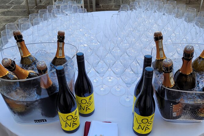 Venice like a local: Vini and Cichetti at Liuba and Hugo's home - Timing and meeting point: how to plan your 6:00 pm arrival