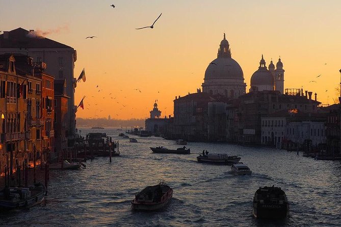 Venice Marco Polo Airport Private Arrival Transfer via Motorboat - Meet and greet at Marco Polo: where your transfer starts