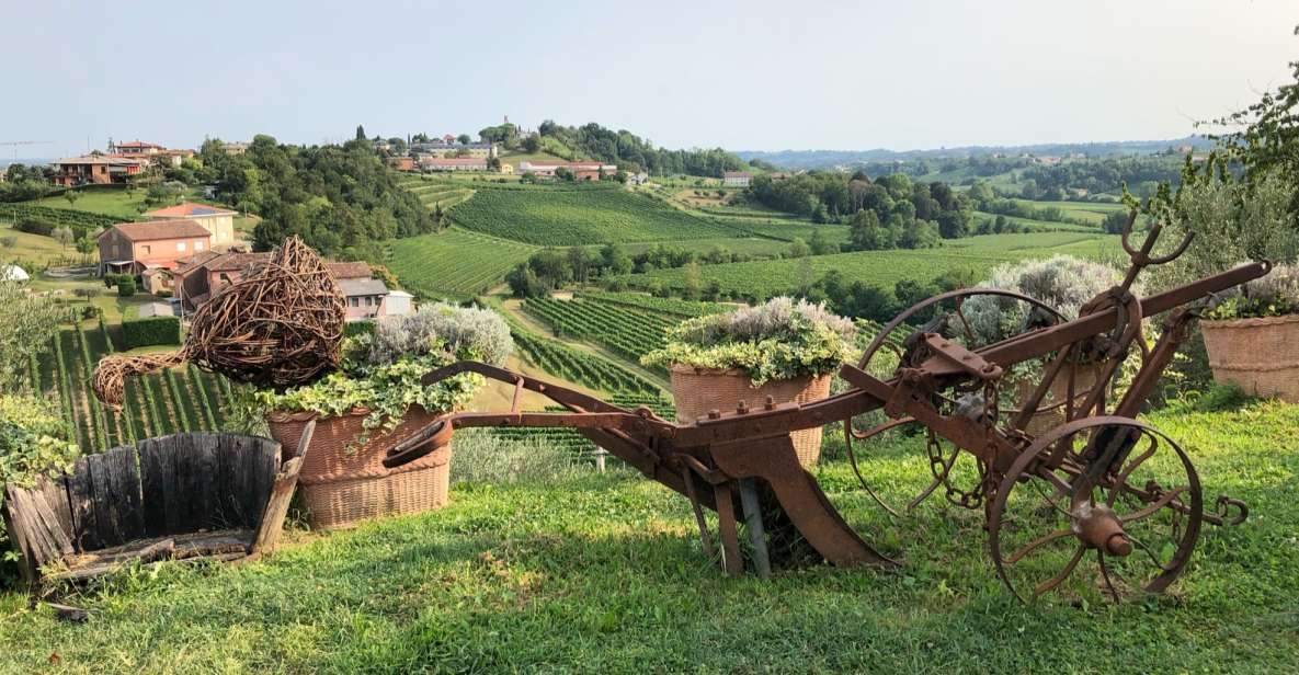 Venice: Prosecco Hills Wineries Tour with Tastings and Lunch - The practical logistics that make or break your morning