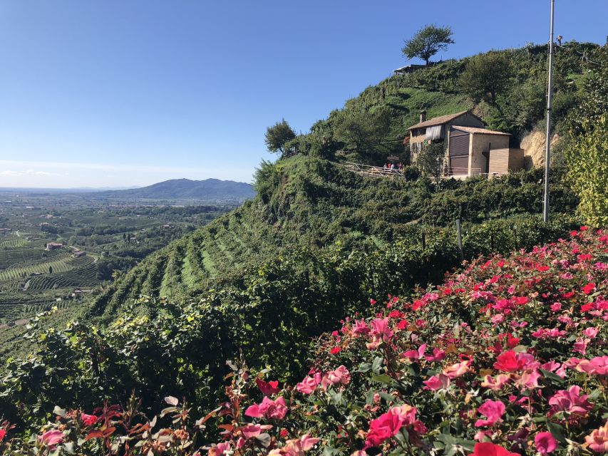 Venice: Prosecco Hills Wineries Tour with Tastings and Lunch - Stop 2 at a DOCG winery: ancient vines and a different Prosecco story