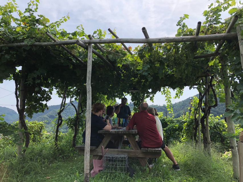 Venice: Prosecco Hills Wineries Tour with Tastings and Lunch - How the schedule feels in real time (7 hours, but not exhausting)