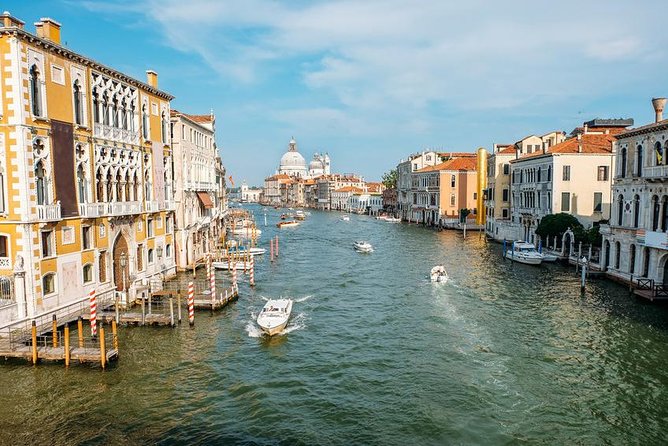 Venice Shared Departure Transfer: Central Venice to Marittima Cruise Port - Service quality: the smooth moments and the risky edges