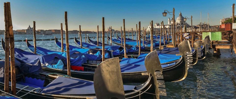 Venice: Shared Gondola Tour - Entering Venice by Gondola: the 30-minute rhythm that makes it work
