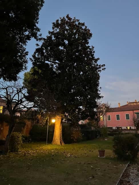 Venice: Sunrise Walking Tour with Espresso - Key highlights worth waking up for