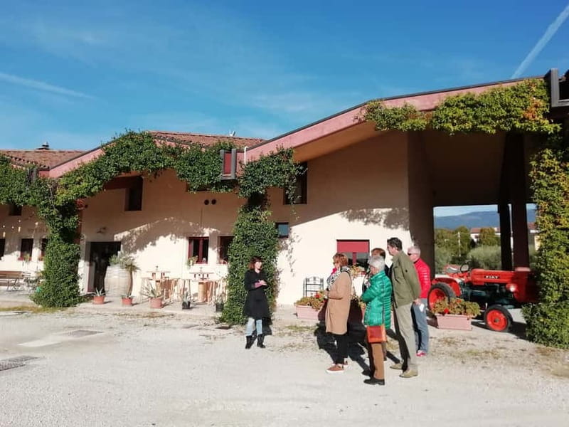 Venice: wine tour tasting along the Unesco Prosecco hills - Stop 1 in Valdobbiadene: the family property, the cellar, and pairing with each glass
